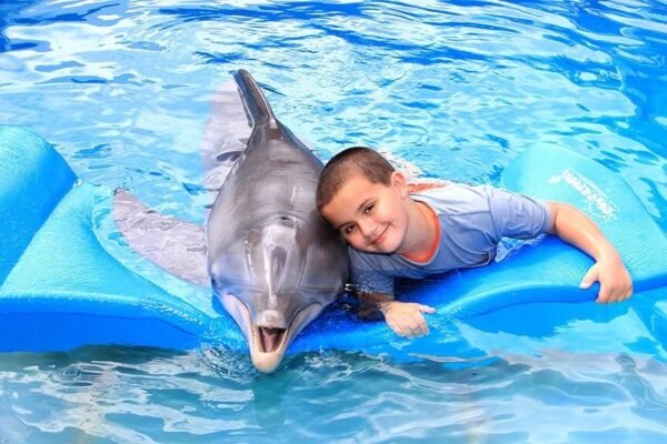 Dolphin World Show Hurghada Day Excursion