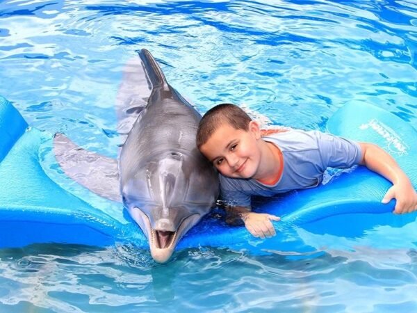 Dolphin World Show Hurghada Day Excursion