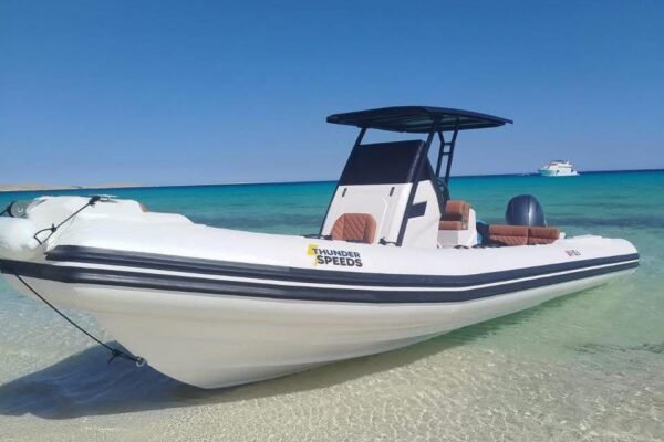 Prywatna łódź motorowa do Domu Delfinów w Hurghadzie