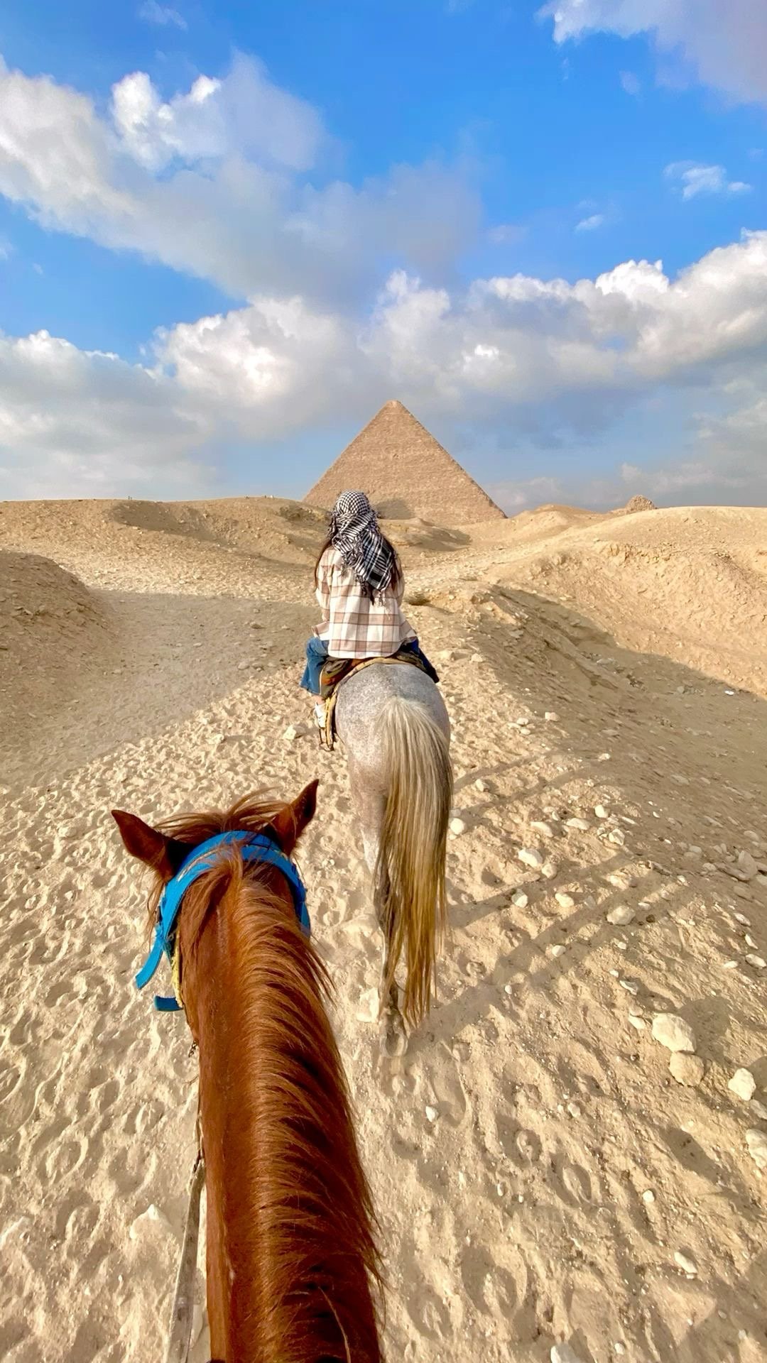 Inside the Egyptian Museum, showcasing ancient pharaonic treasures and statues.r
