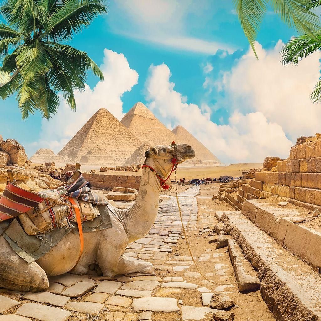 Inside the Egyptian Museum, showcasing ancient pharaonic treasures and statues.l