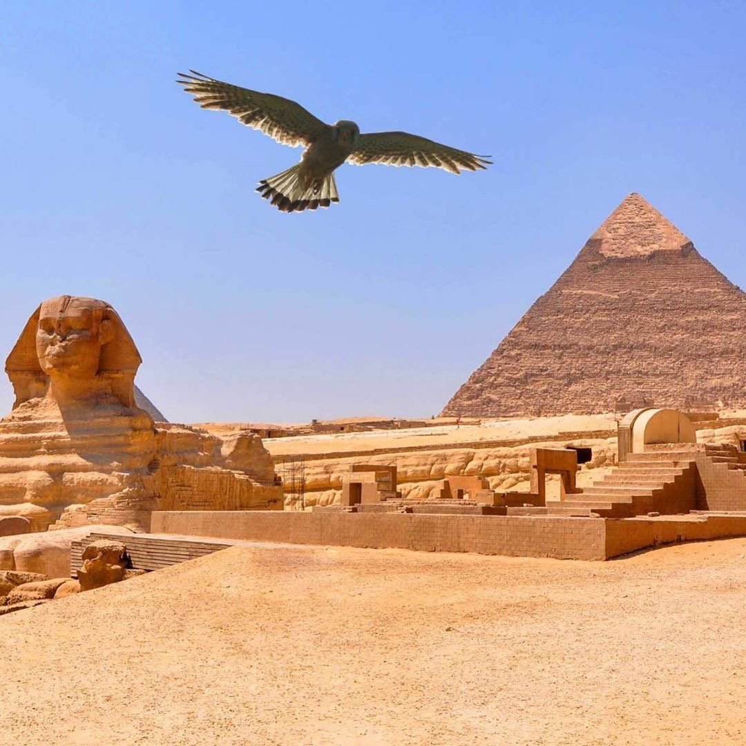 Inside the Egyptian Museum, showcasing ancient pharaonic treasures and statues.i