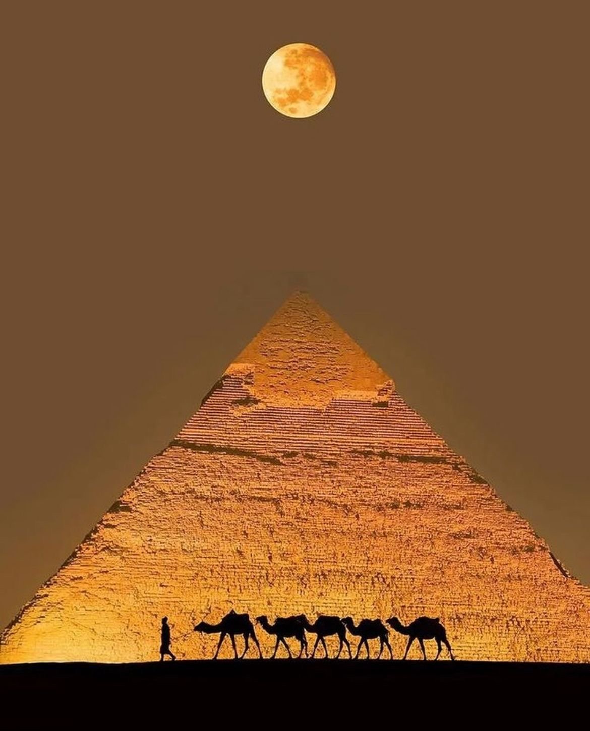 Inside the Egyptian Museum, showcasing ancient pharaonic treasures and statues.