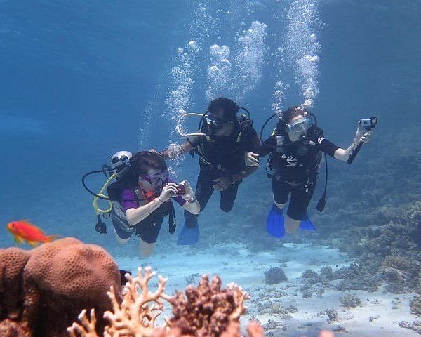 Hurghada Scuba Diving Price Guide 2025: Certified 2-Dive Cost (€50)8