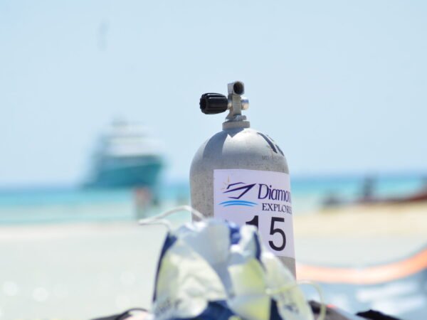 Scuba Diving Hurghada – Red Sea Adventure & Coral Reef Experience