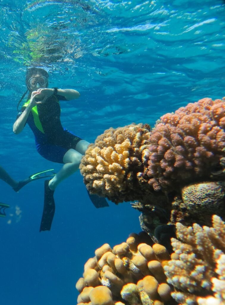 "Abu Ramada Island snorkeling - sea turtle spotting spot"