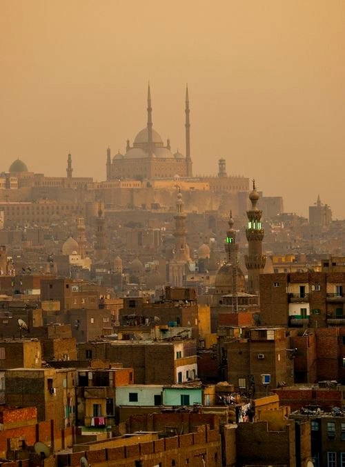 Egyptologist highlighting unique Pharaonic relics during a guided museum visit in Cairo.