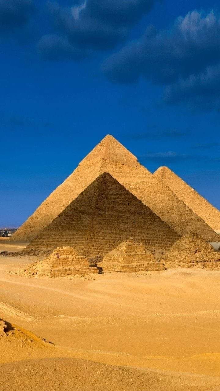 Egyptologist guide offering deep cultural understanding during a museum tour in Cairo..