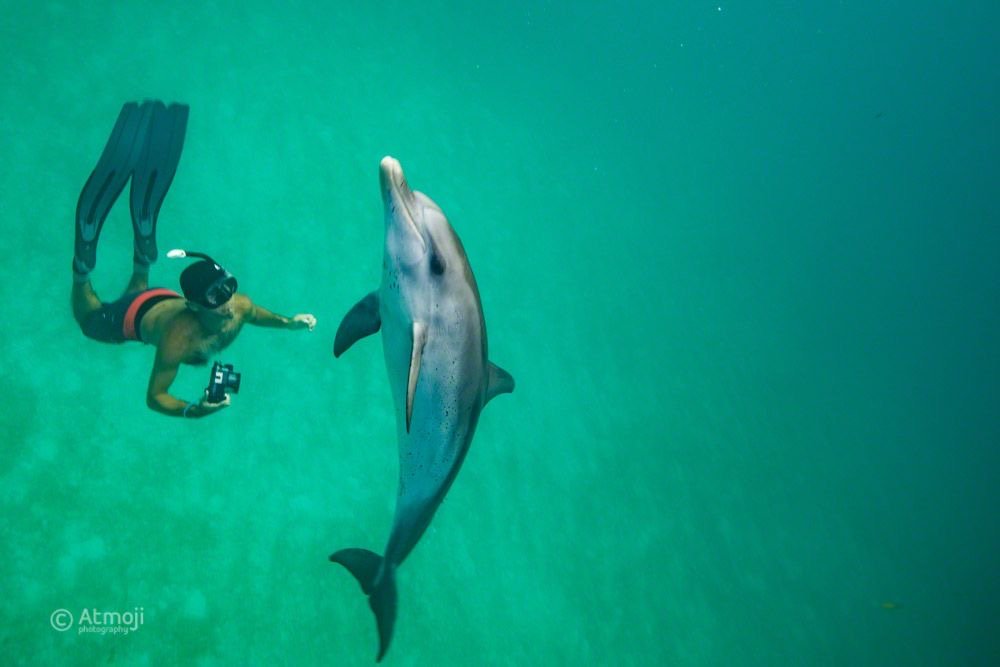 Beautiful white sand and turquoise water at Bayoud Island near Hurghada, perfect for swimming and relaxation.'