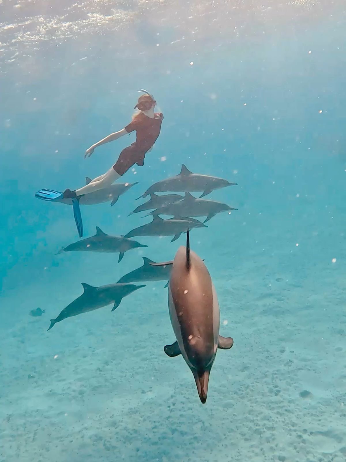 Beautiful white sand and turquoise water at Bayoud Island near Hurghada, perfect for swimming and relaxation./