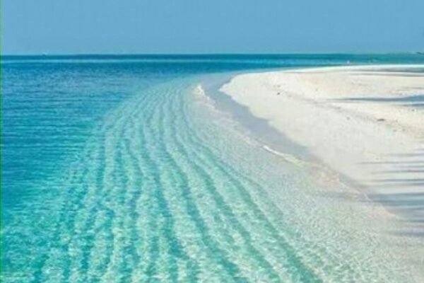 Private Speed Boat Tour to Bayoud Island & Dolphin House Hurghada