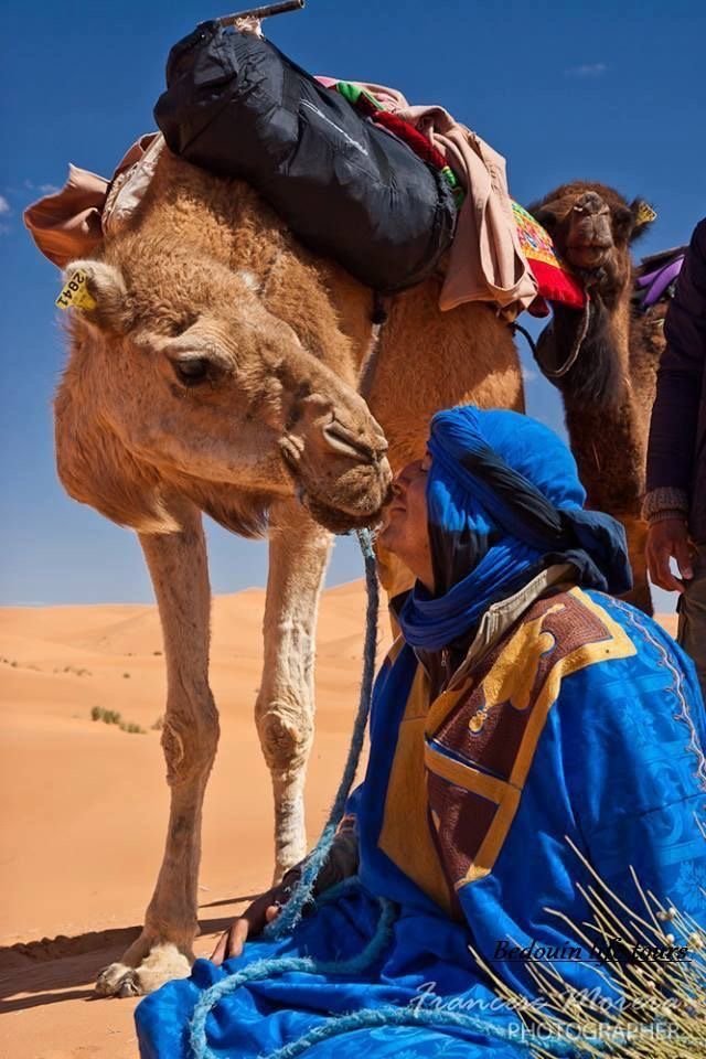 Chase the sun across golden dunes on the Desert Quad Safari Hurghada Sunset..;