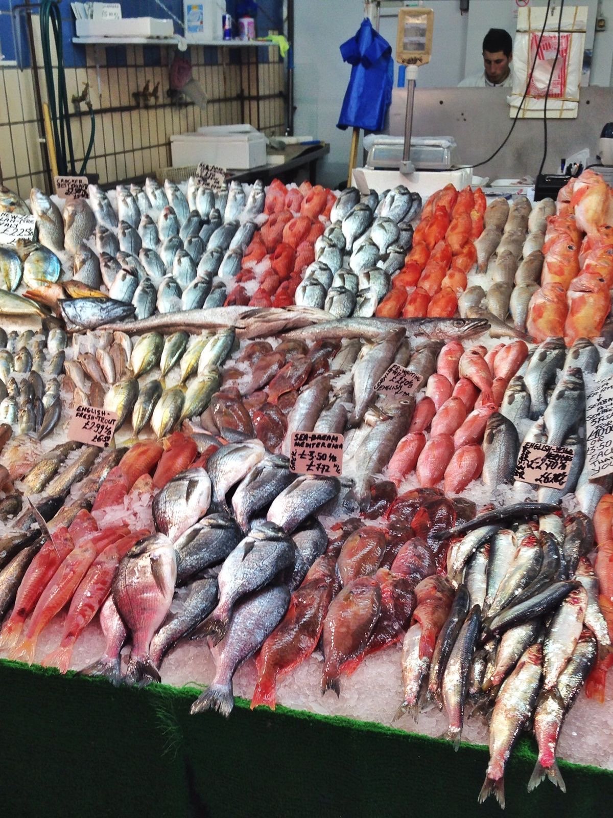 Experience local trade at Hurghada’s lively fish market during the city tour.