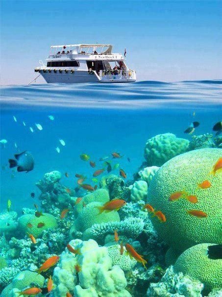 Mahmya Island Hurghada white sand beach