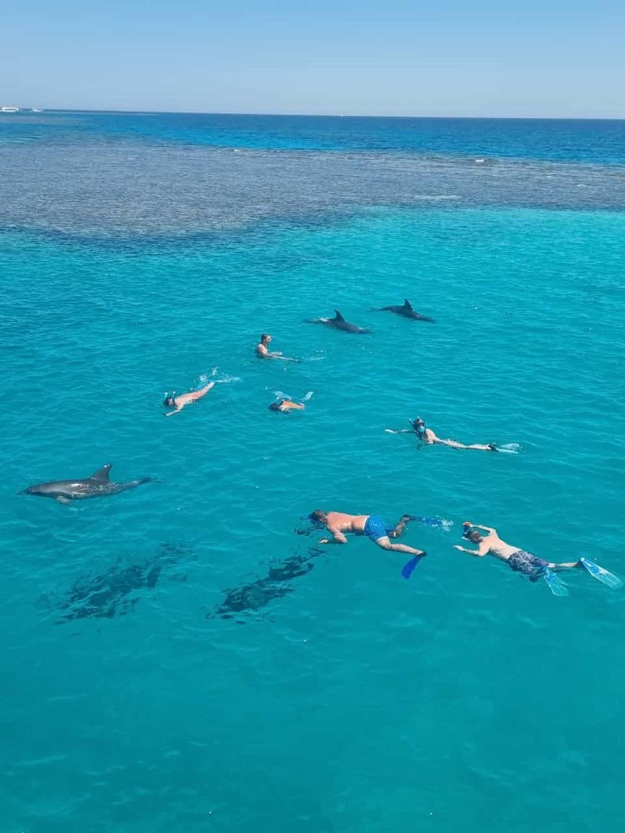 Families enjoy safe snorkeling and clear waters at Mahmya Island Hurghada.