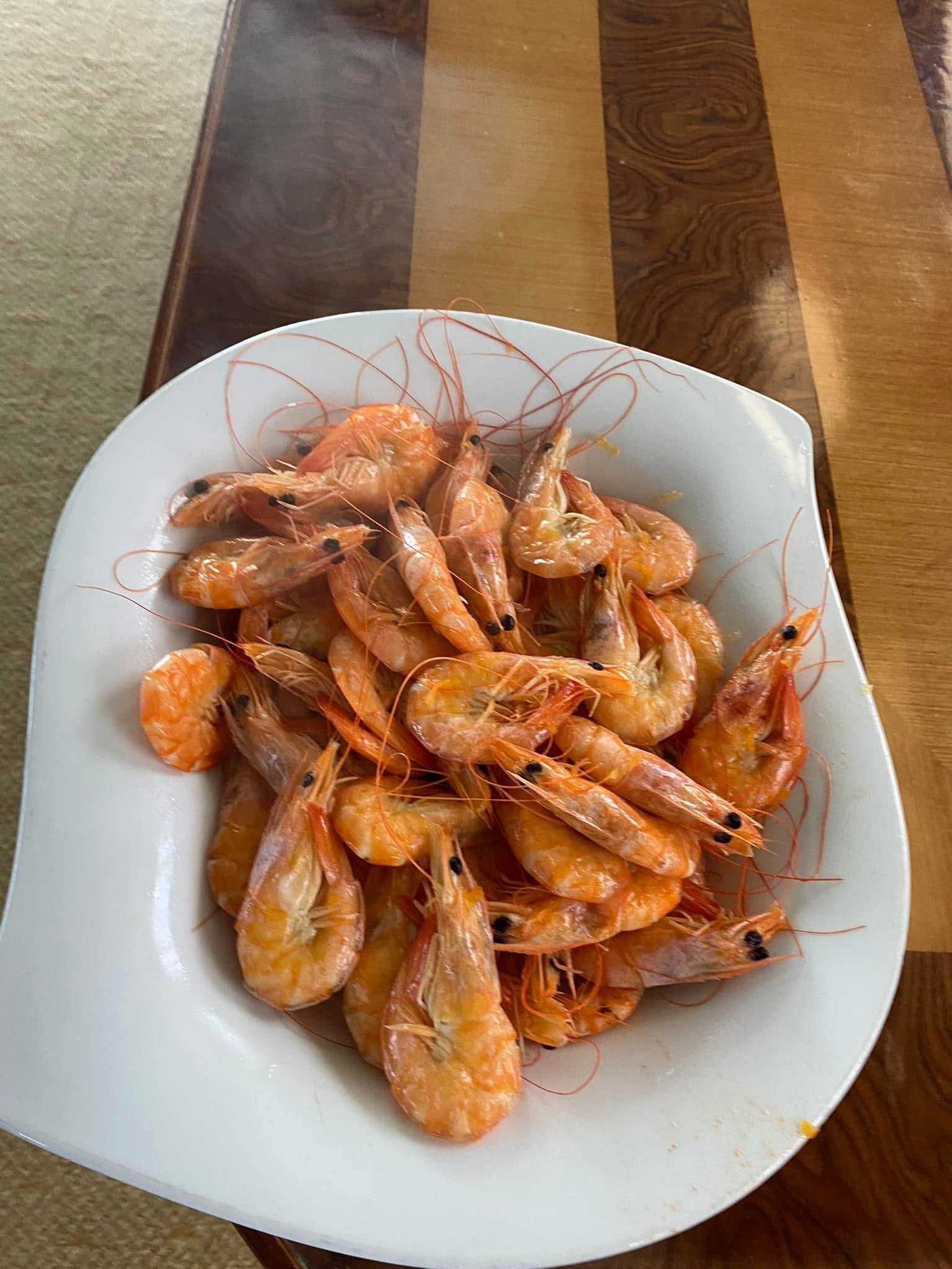 Powdery white sand and turquoise shallows on Utopia Island Safaga..