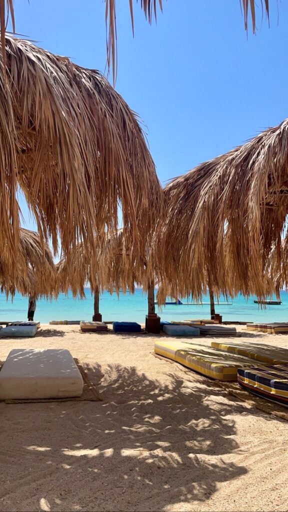 tawila island el gouna kite surfing lagoon mangroves