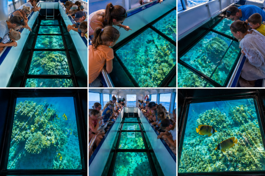 glass bottom boat Hurghada 