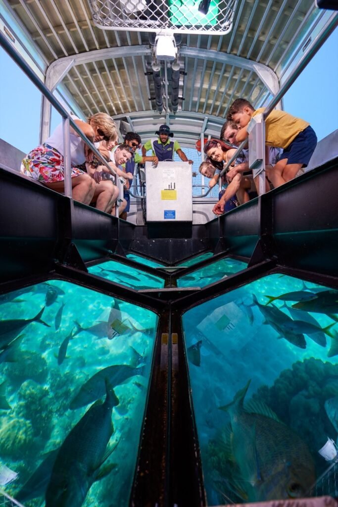 glass bottom boat
