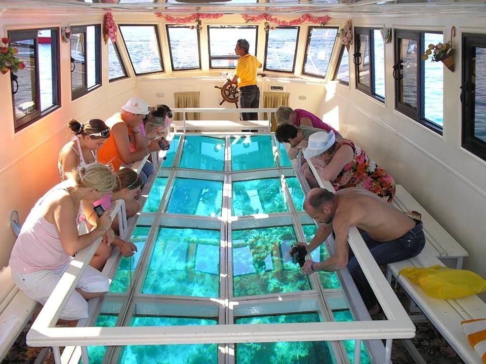 glass bottom boat
