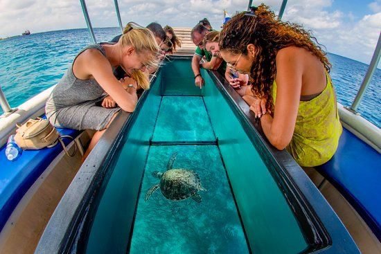 glass bottom boat Hurghada 