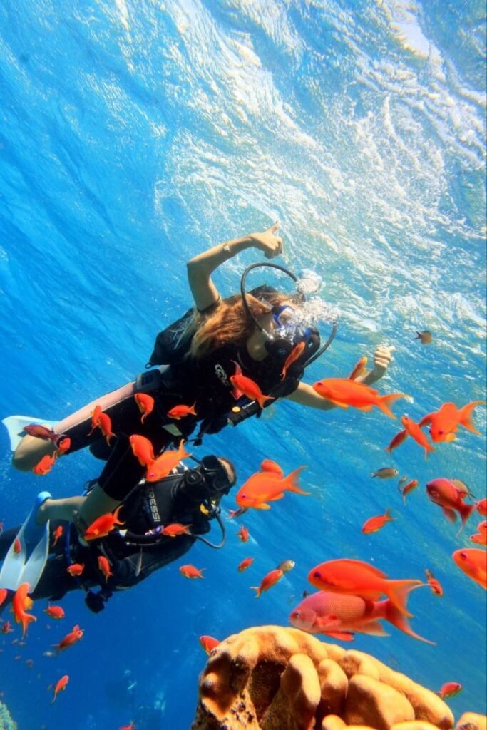 Hiring an Underwater Photographer in Hurghada