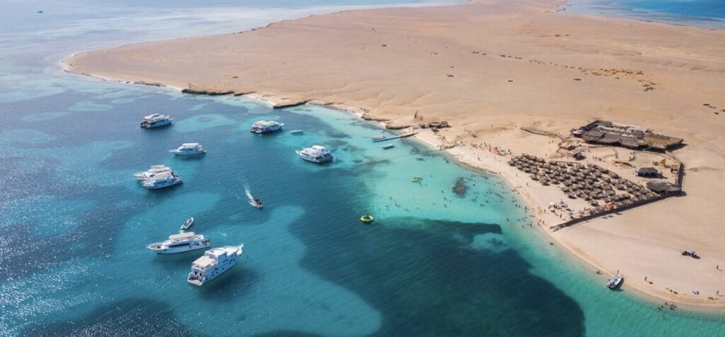 giftun island outer slope snorkeling hurghada table coral and parrotfish
