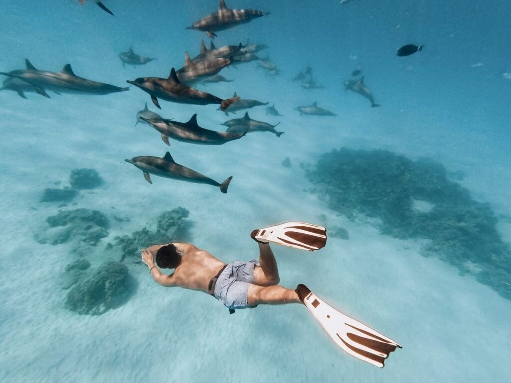 Snorkeling Sahl Hasheesh house reef coral