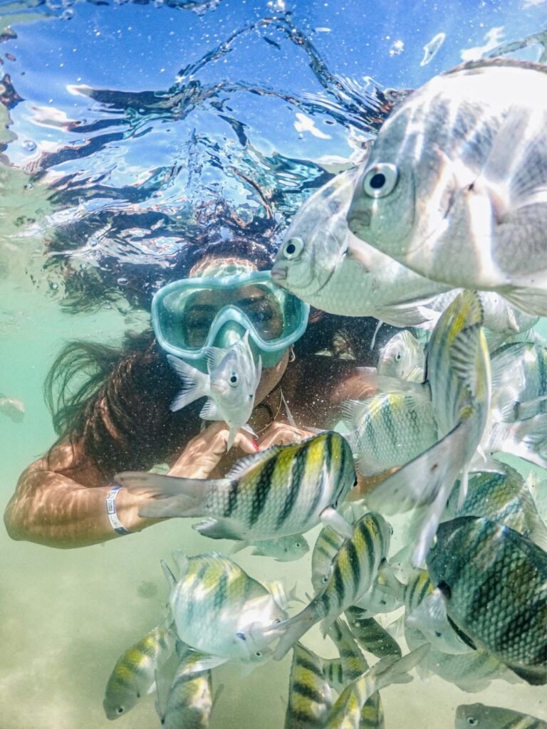 Snorkeling mask and fins on boat deck Red Sea Hurghada tour equipment]