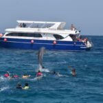 snorkeling trip dolphins House 1
