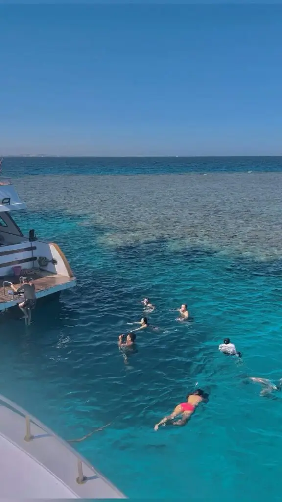 Mahmya Paradise Island coral garden snorkeling Hurghada clear blue water healthy reef]