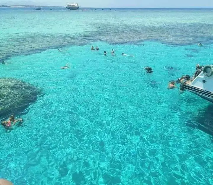Abu Hashish house reef shallow calm water beginners snorkeling Hurghada Red Sea]