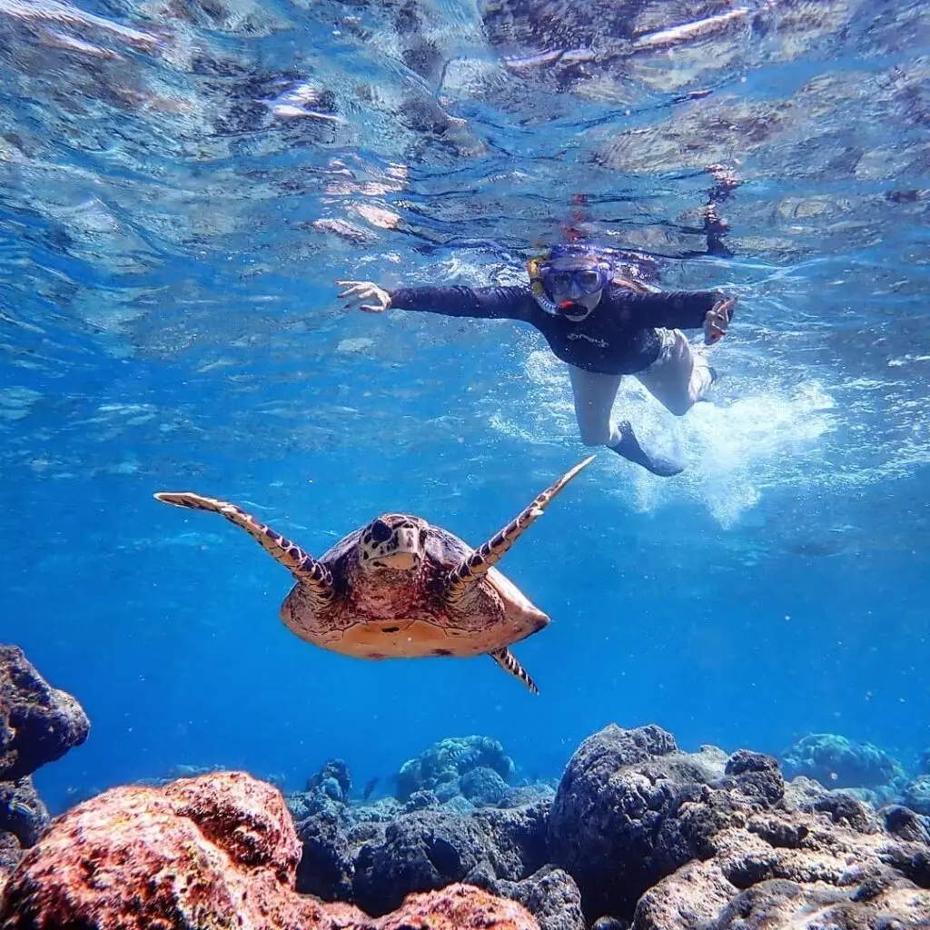 Abu Hashish house reef shallow calm water beginners snorkeling Hurghada Red Sea
