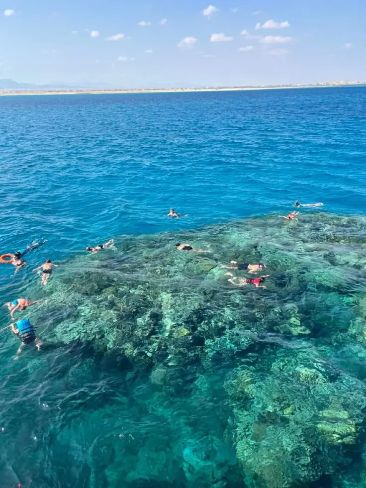 Abu Hashish house reef shallow calm water beginners snorkeling Hurghada Red Sea]