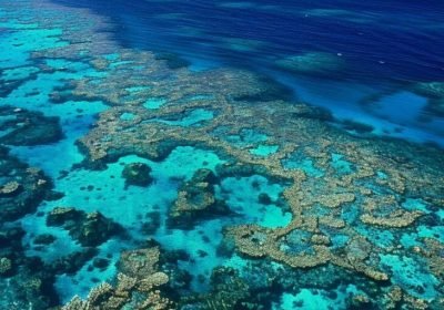 Snorkeling in Hurghada: The Real Guide From Someone Who Was Born Here