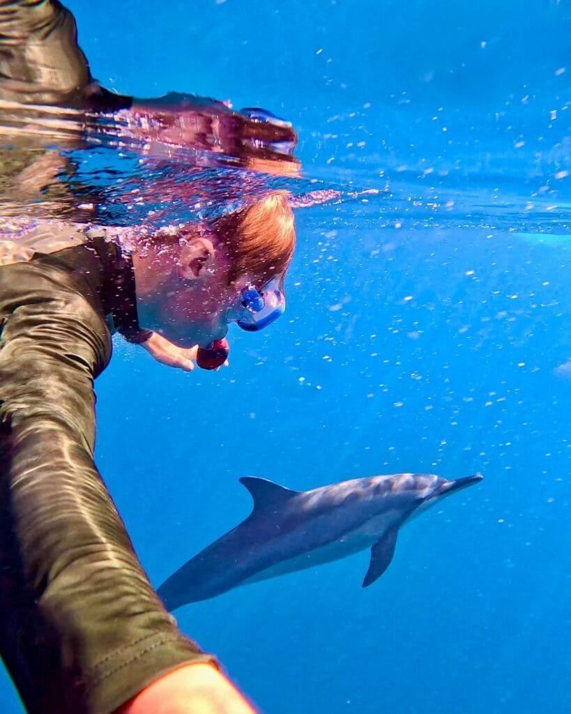 Spinner dolphins arcing past snorkeler in Zone B Dolphin House Shaab Samadai]