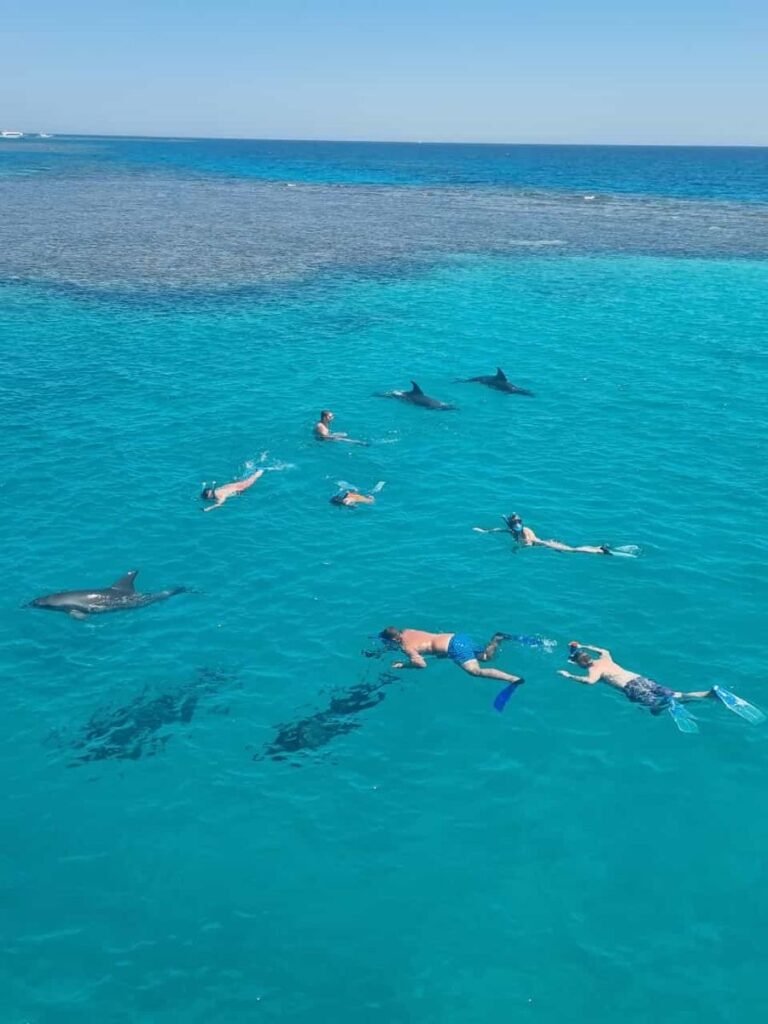 Makadi Bay sea trips Red Sea boat tour5