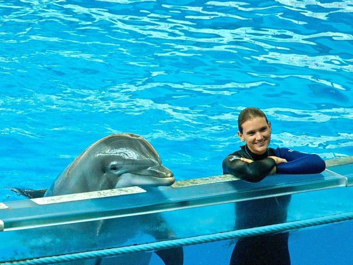 Dolphin Trips (4)